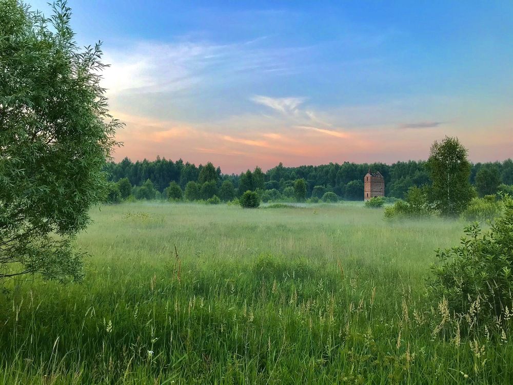 Photograph by Михаил Некрасов