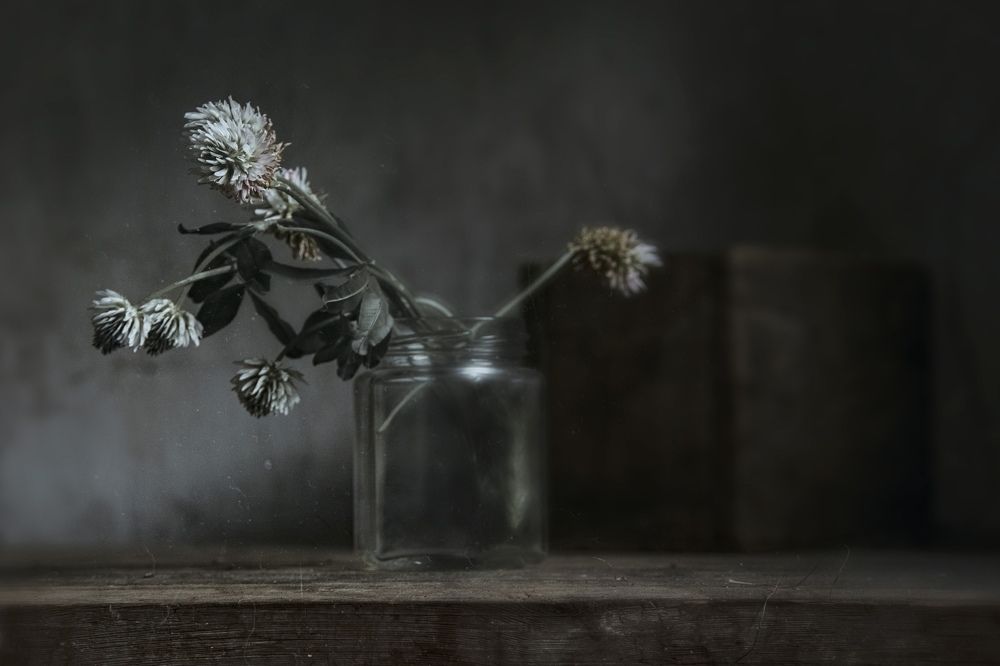 Photograph by Инна Грицик