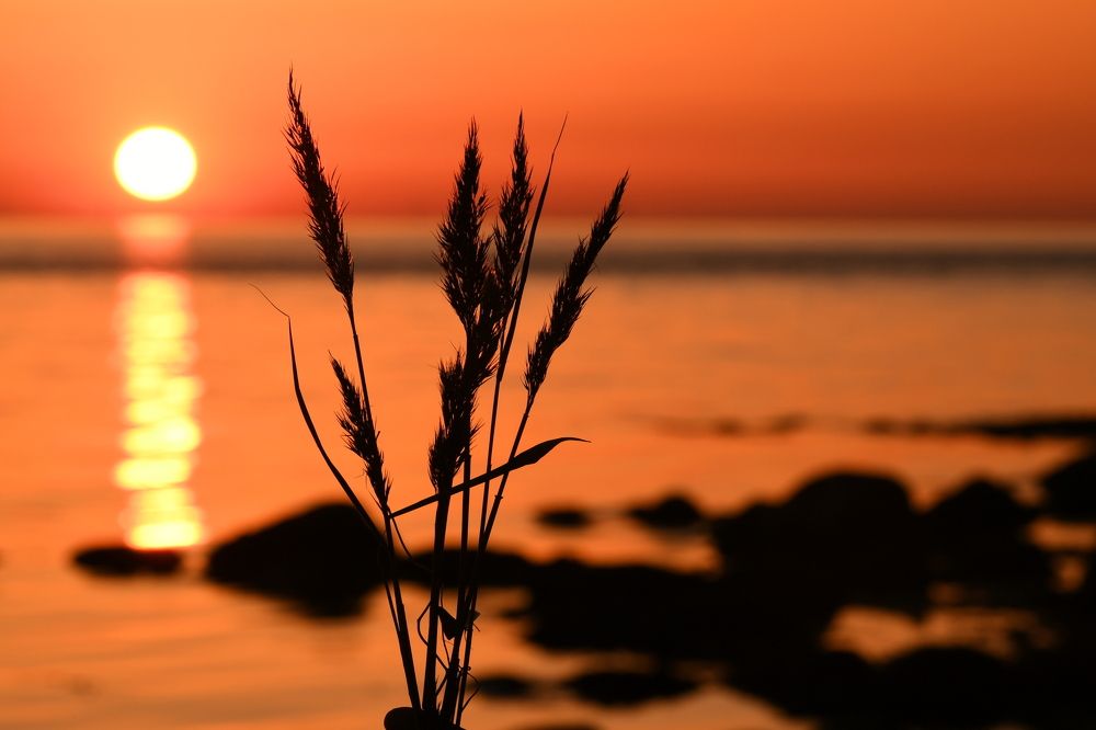 Photograph by Sergejs Demjanenko