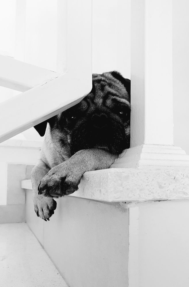 Photograph by Vira Popova