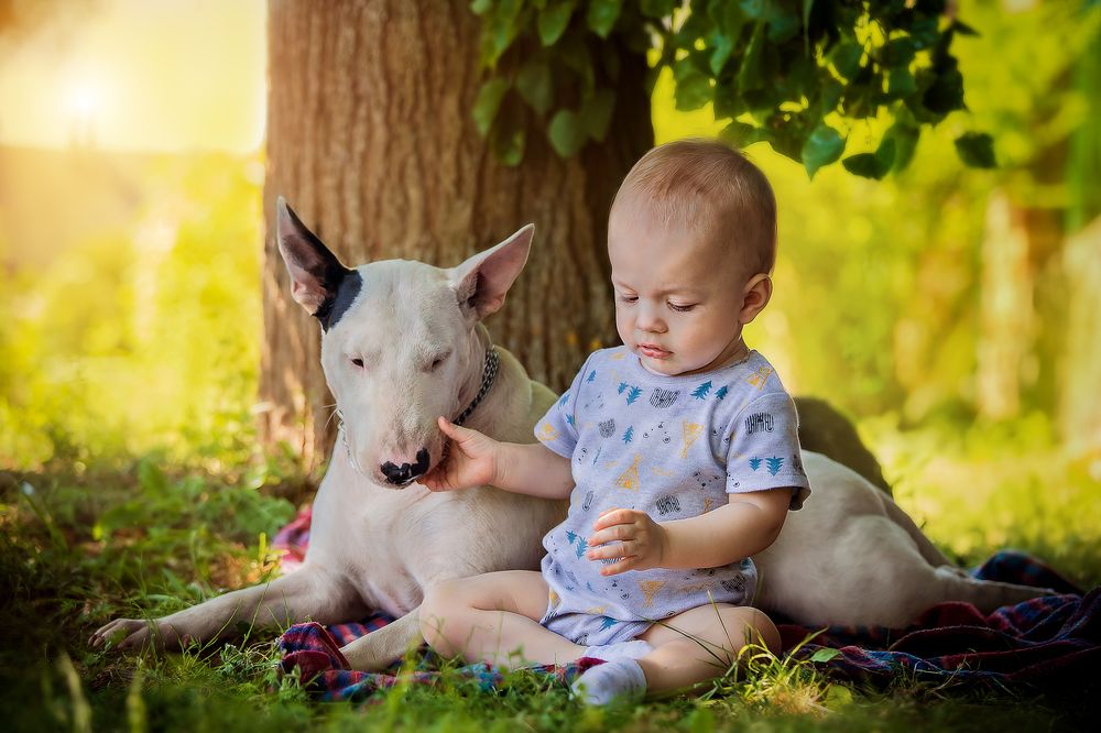 Photograph by Анна Григорьева