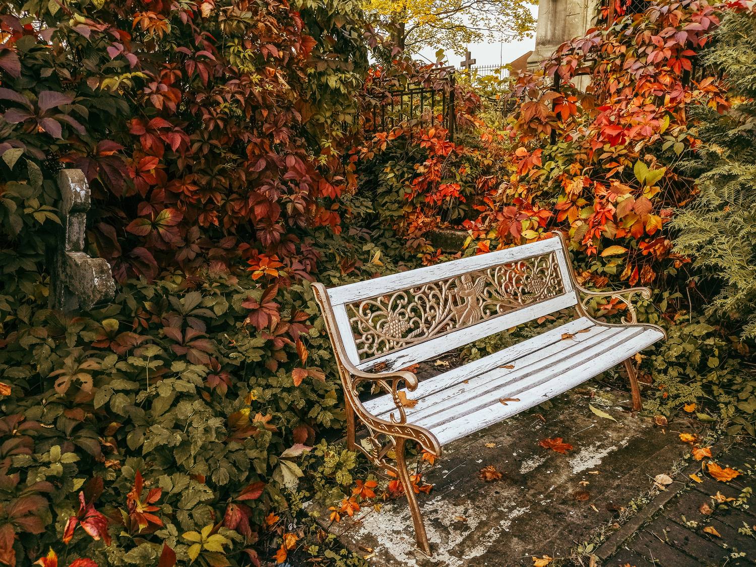 Cemetery fall