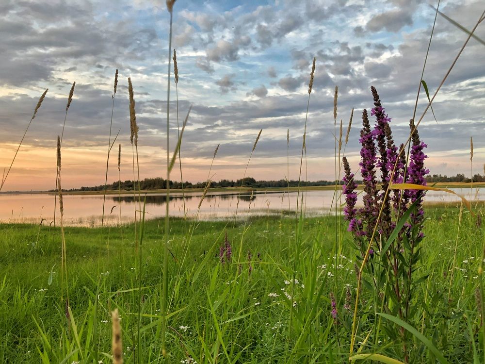 Photograph by Наталья