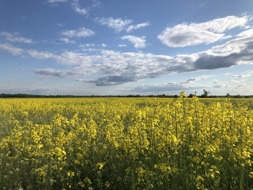 Photograph by Наталья