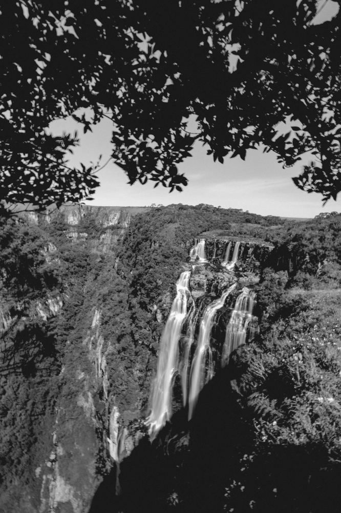 Photograph by Pedro Camargo