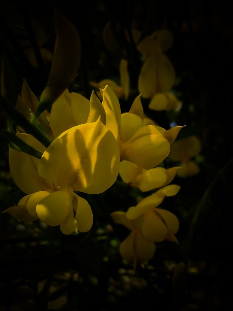 Photograph by Reyhaneh Jeyhoni