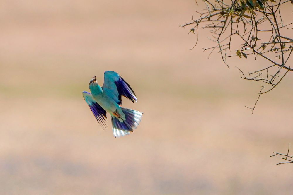 Фотография автора Jian Ma