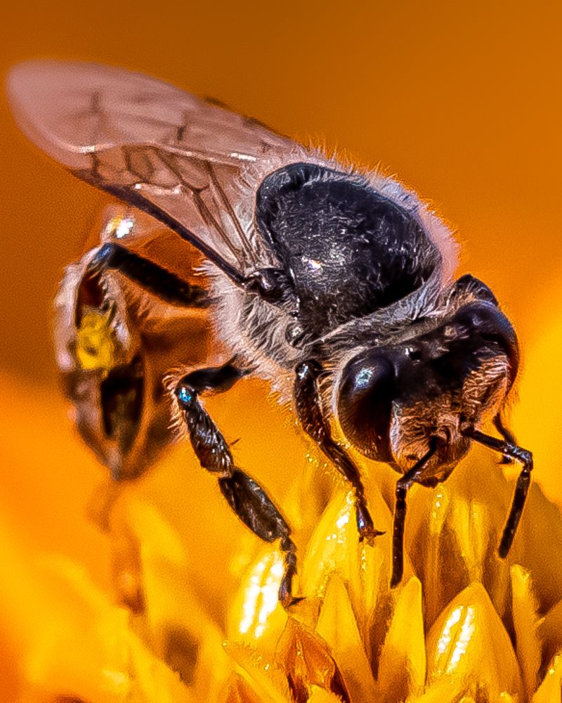 Photograph by Dem Kerrigan