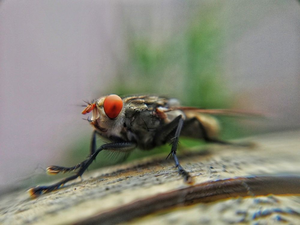Photograph by Sami Samiul