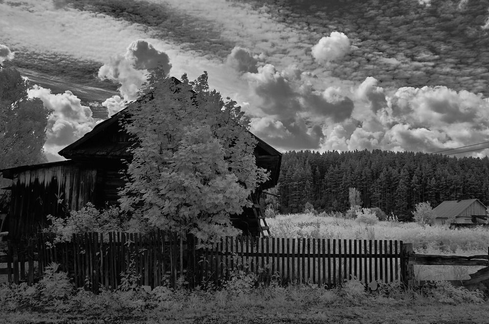 Фотография автора Александр Медведев