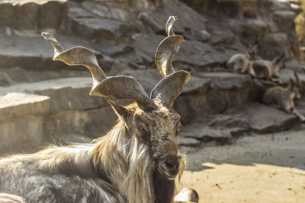 Фотография автора Oxana Brinzova