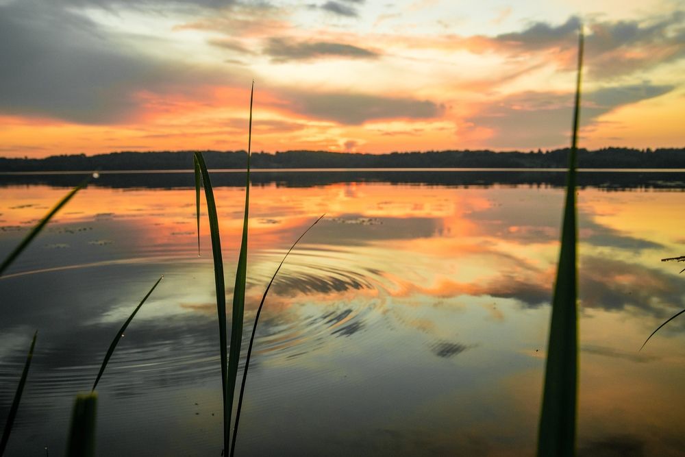 Photograph by Егор Круглов