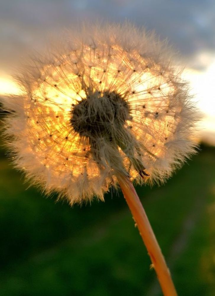 Photograph by Yury Khortau