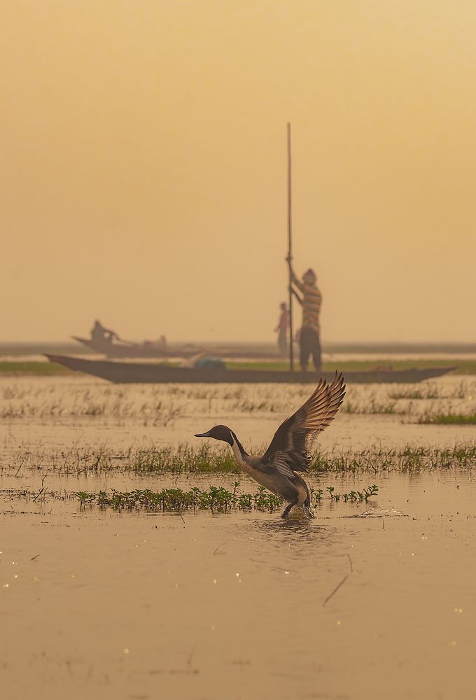 Фотография автора Arijit Mondal