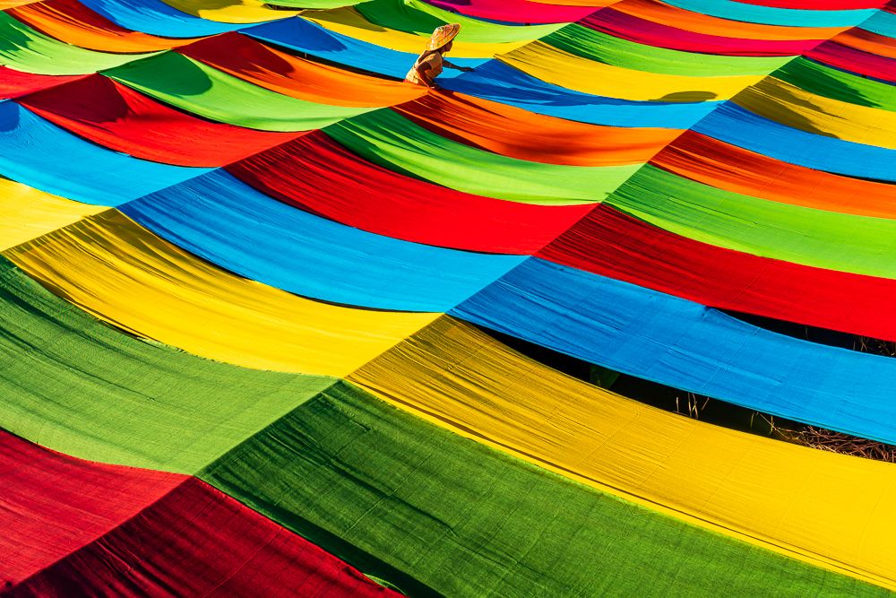 Colorful Lotus Fabric