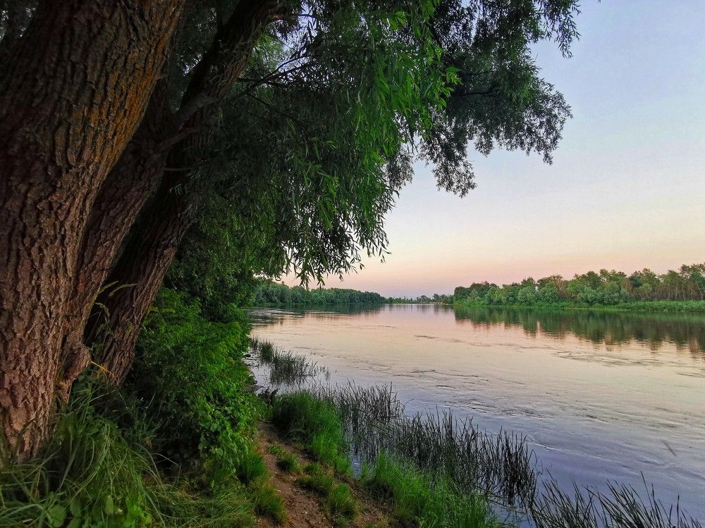 Photograph by Алексей Тарасов