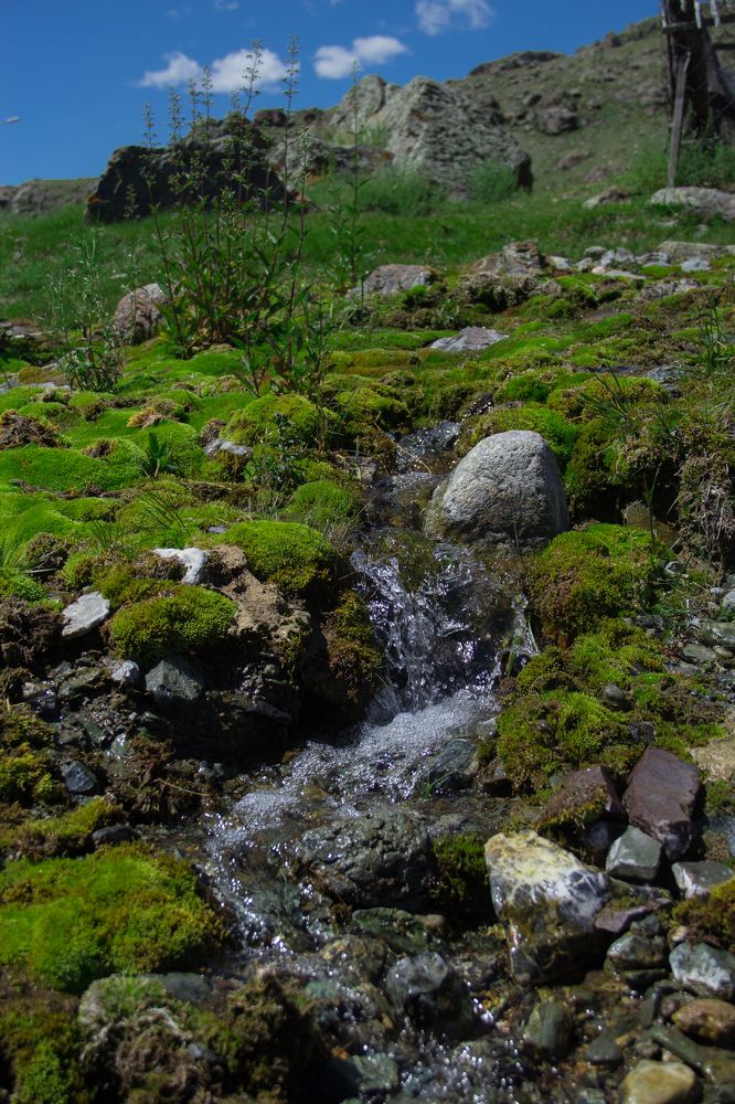 Photograph by Ольга Минакова