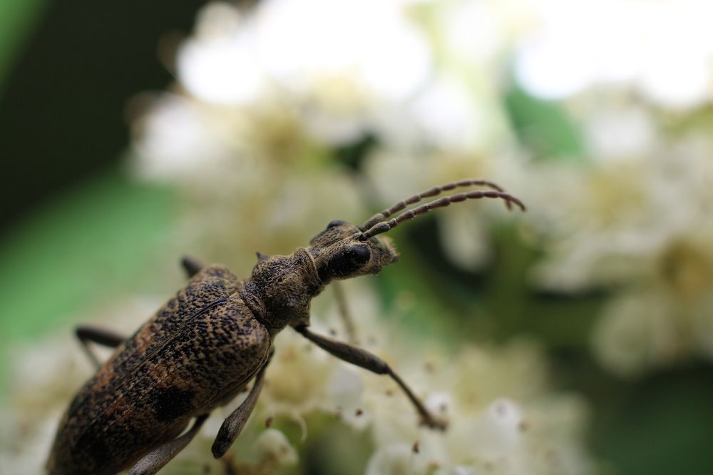 Photograph by Артем Деревенский