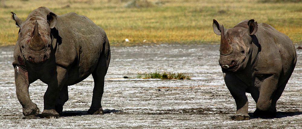 Фотография автора Таймас