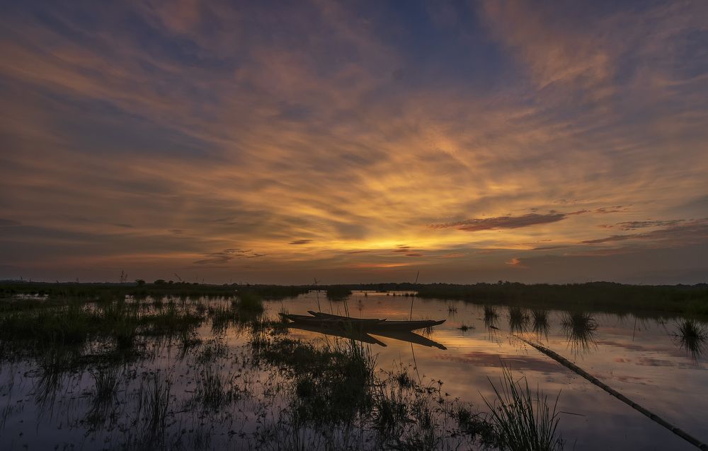 Photograph by SIMSON DAS