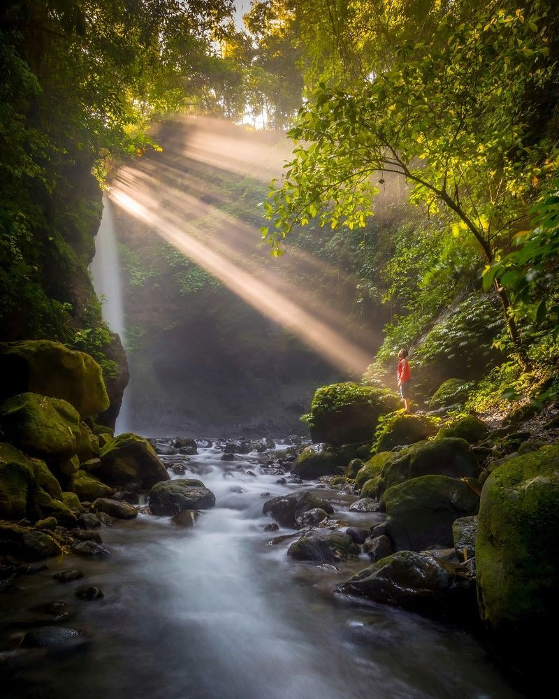 Фотография автора Wahid Hasyim