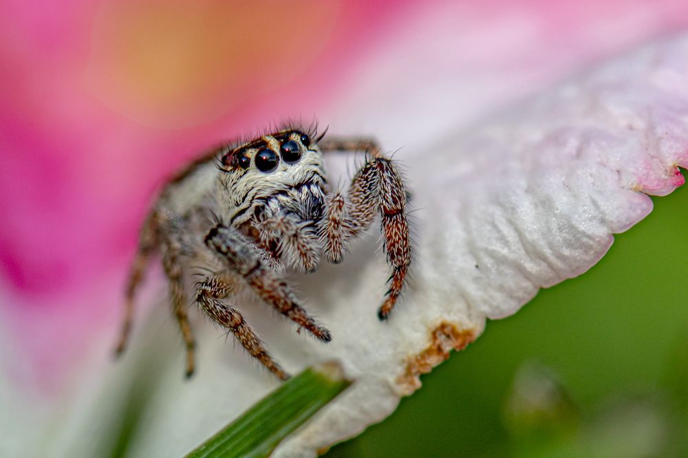 Photograph by Ellen Lichtenheldt