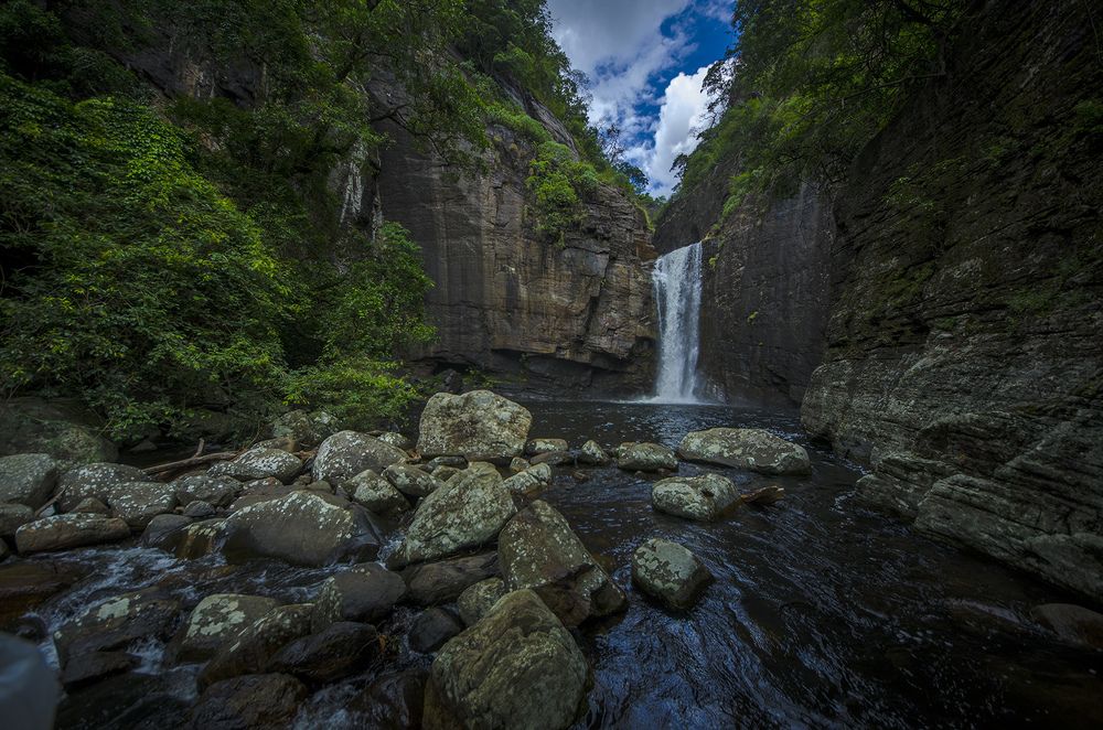 Photograph by Dhananjaya Dassanayake