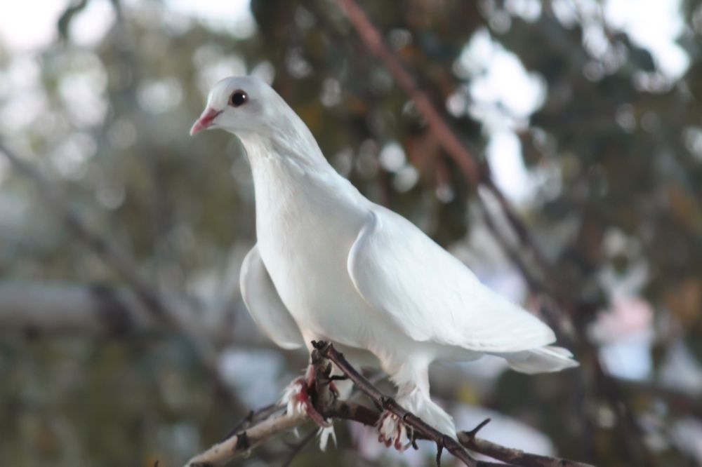 Photograph by Ирина Антонова