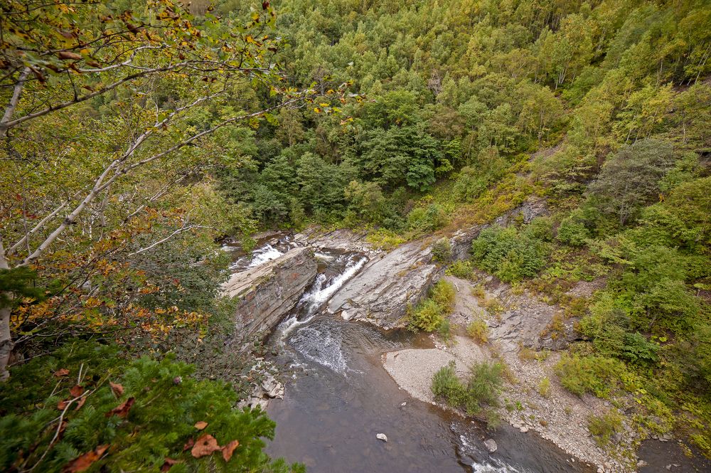 Photograph by Максим Тыщенко