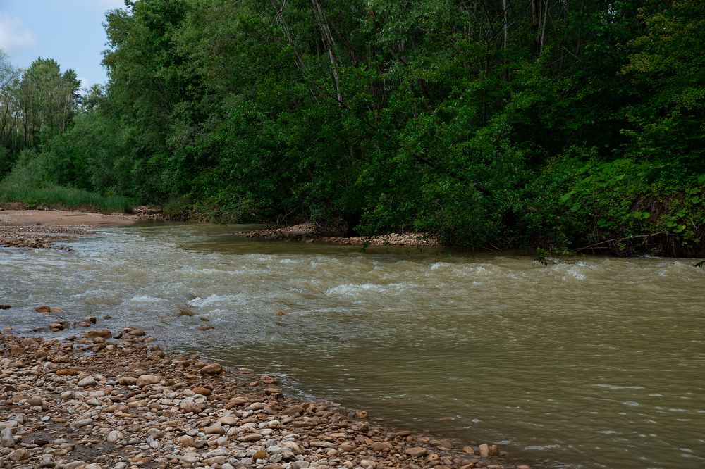 Photograph by Оксана Тонкошкурая