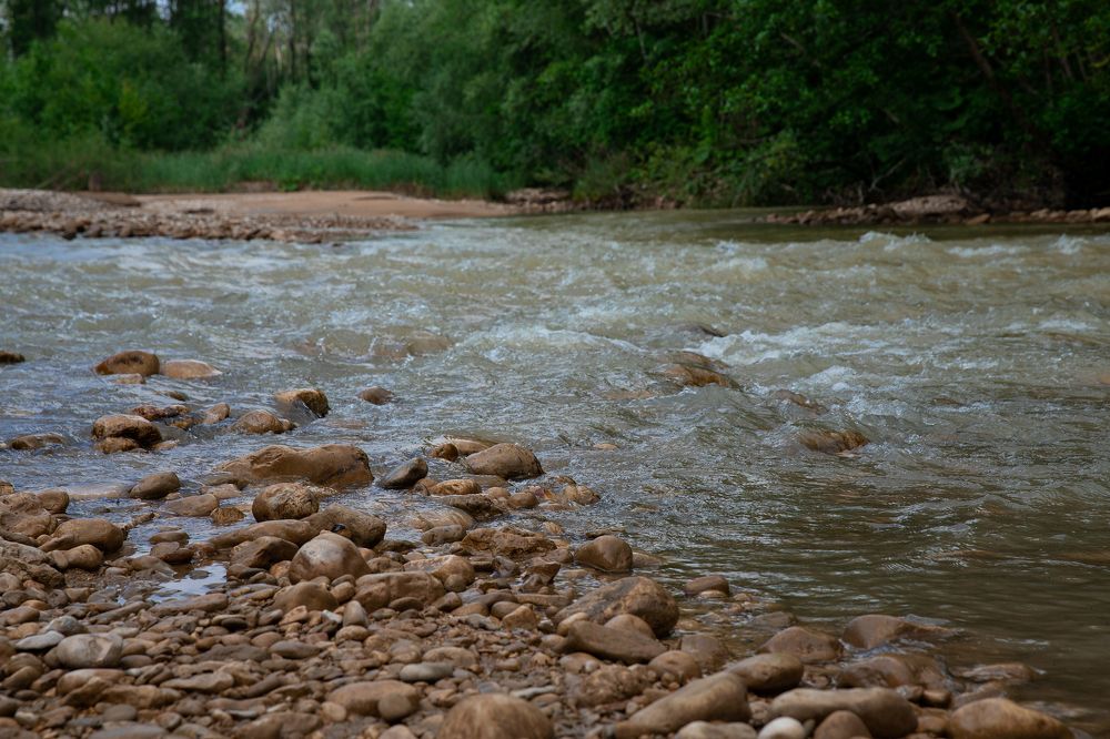 Photograph by Оксана Тонкошкурая