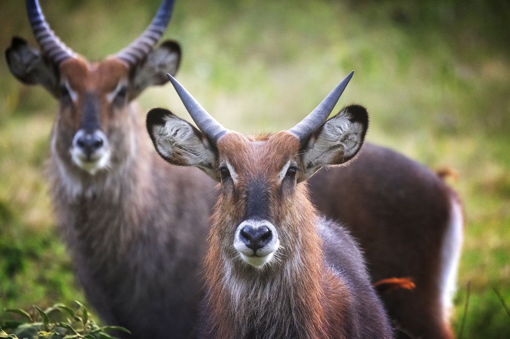 Photograph by Ирина Худзинская