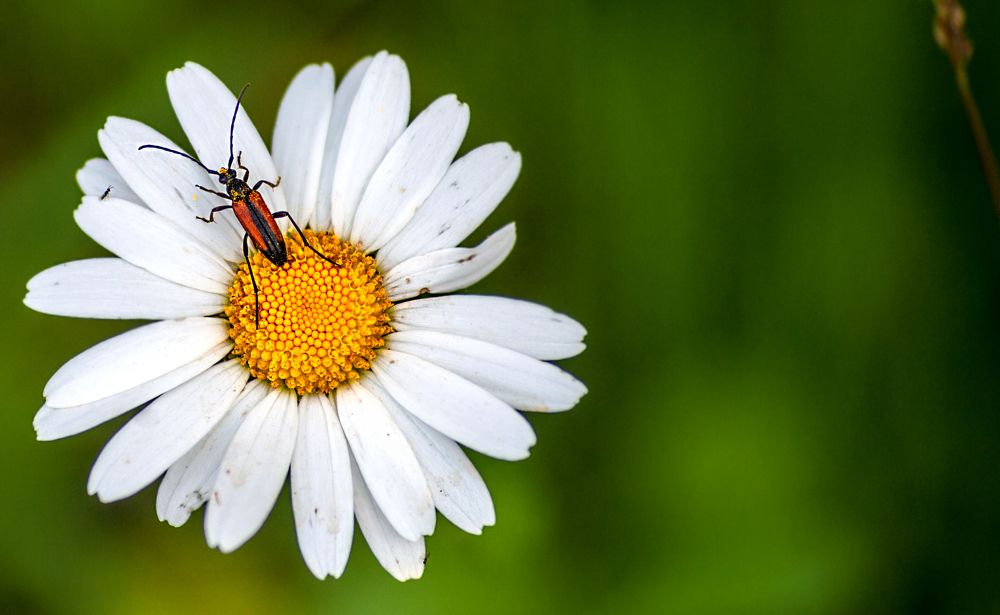 Photograph by Виталий Слёзка