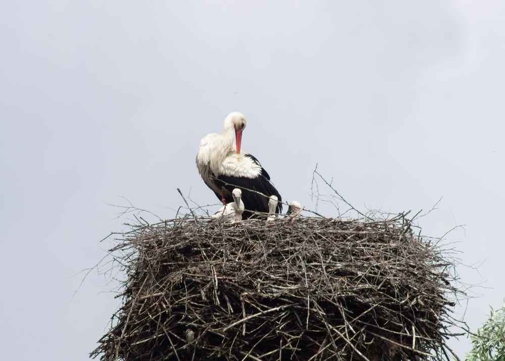 Photograph by Лана