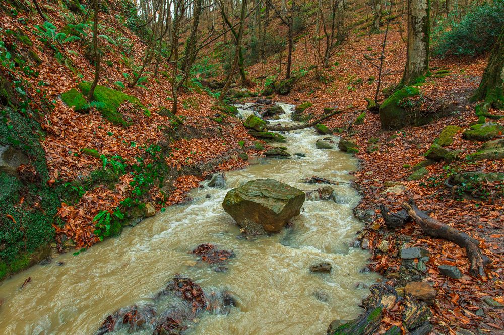 Photograph by Артур Нариманян