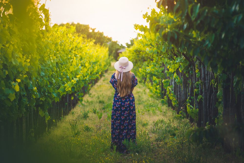 Photograph by Fahrudin Seferagić