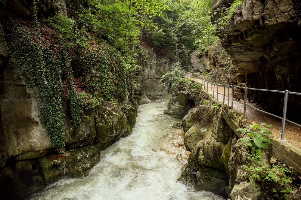 Photograph by Elena Gebert