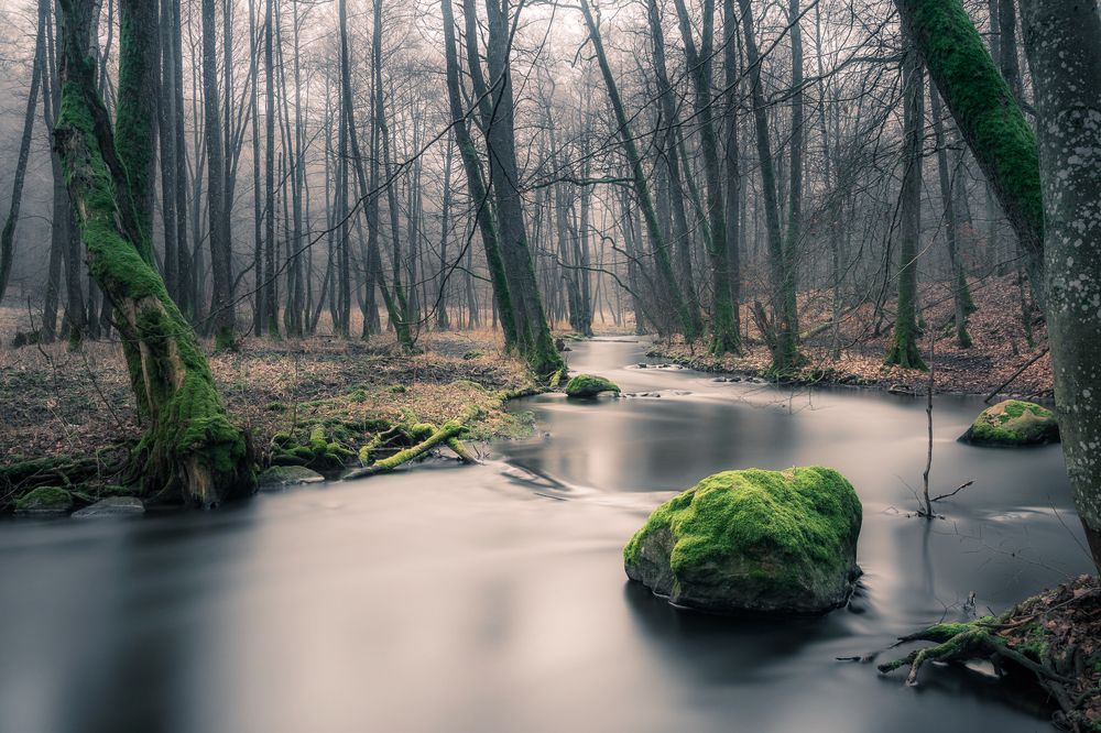 Фотография автора Tomasz Podgórny