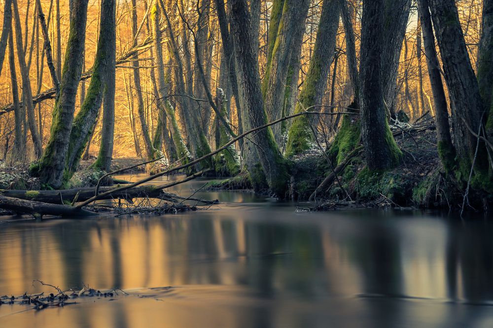 Фотография автора Tomasz Podgórny