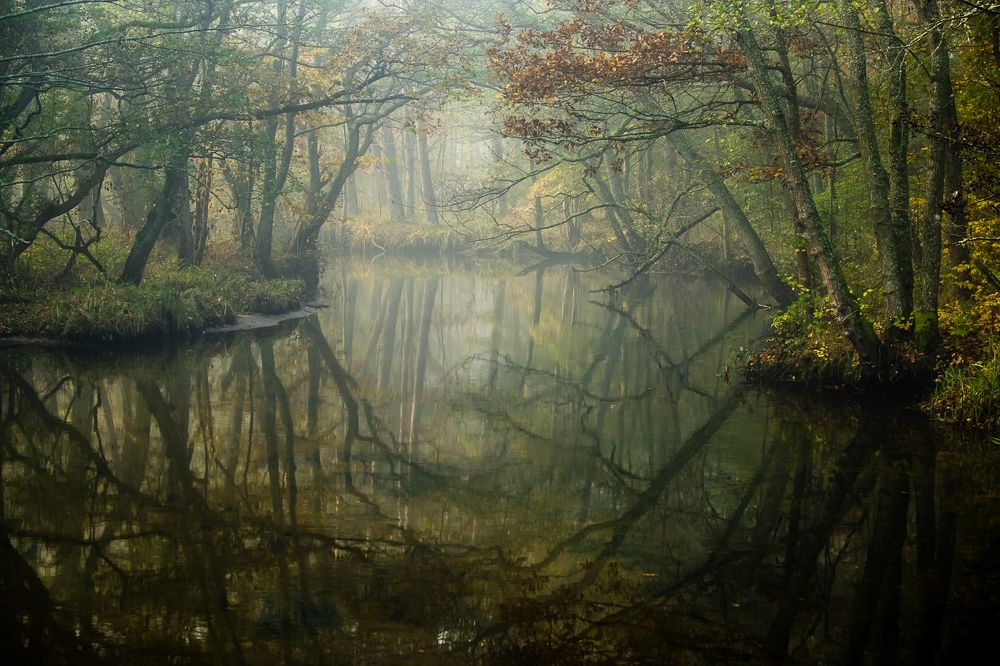 Photograph by Tomasz Podgórny