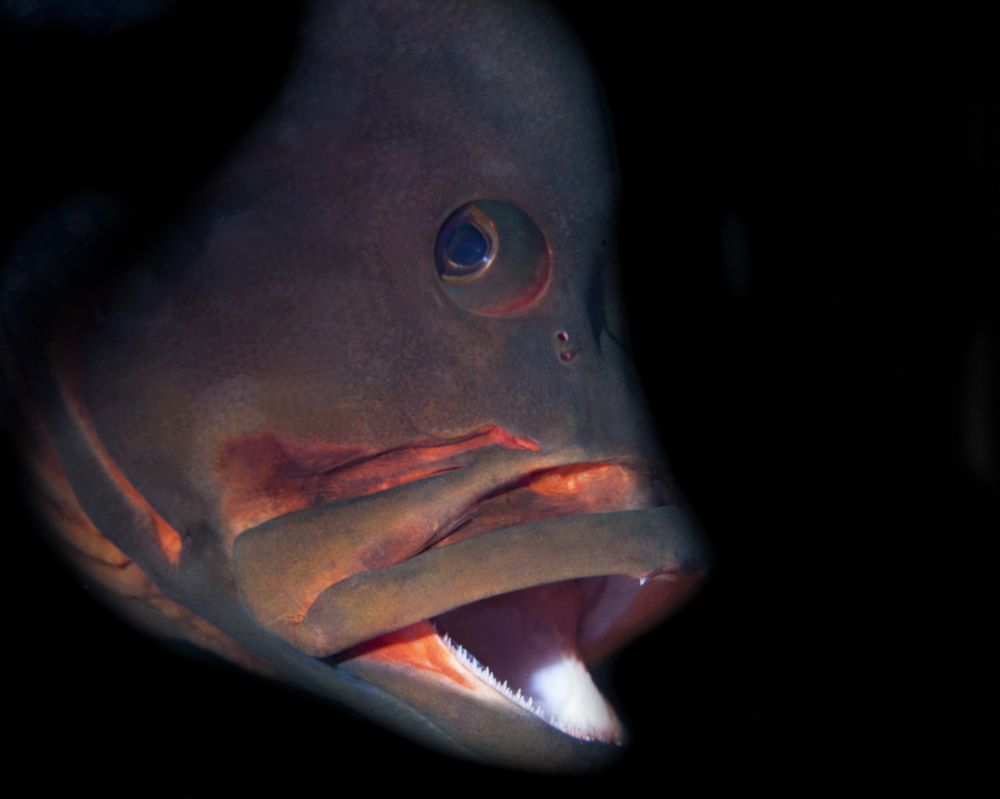 Photograph by Юрий Перевозников