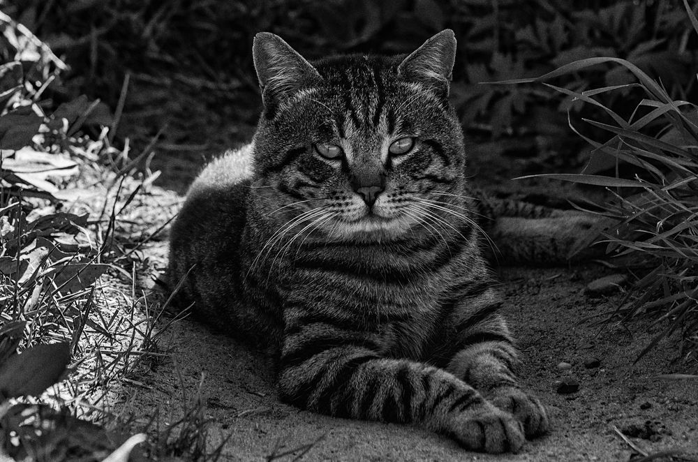 Photograph by Виктор Чернюк