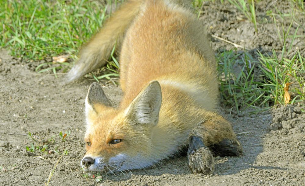 Photograph by Николай Лопан