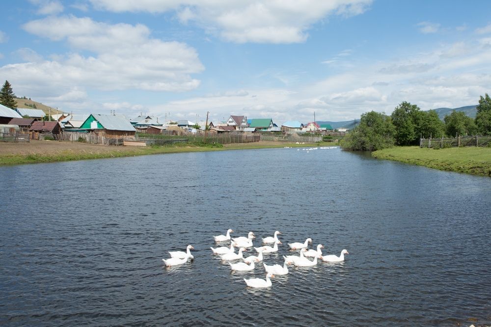 Photograph by Natalia Shilova