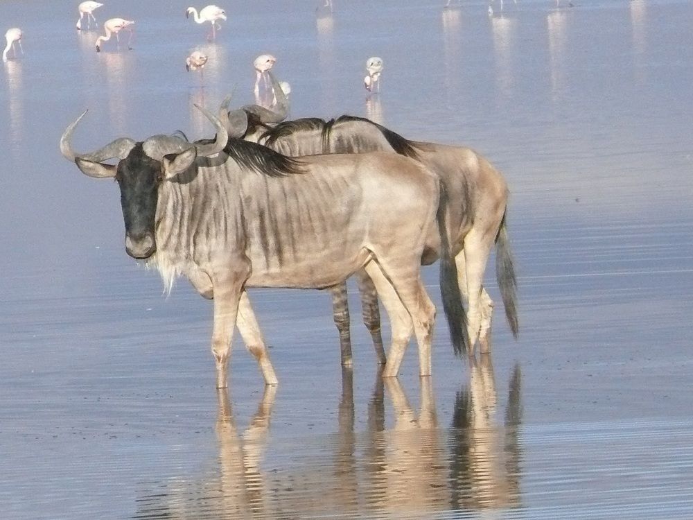 Photograph by Langat James