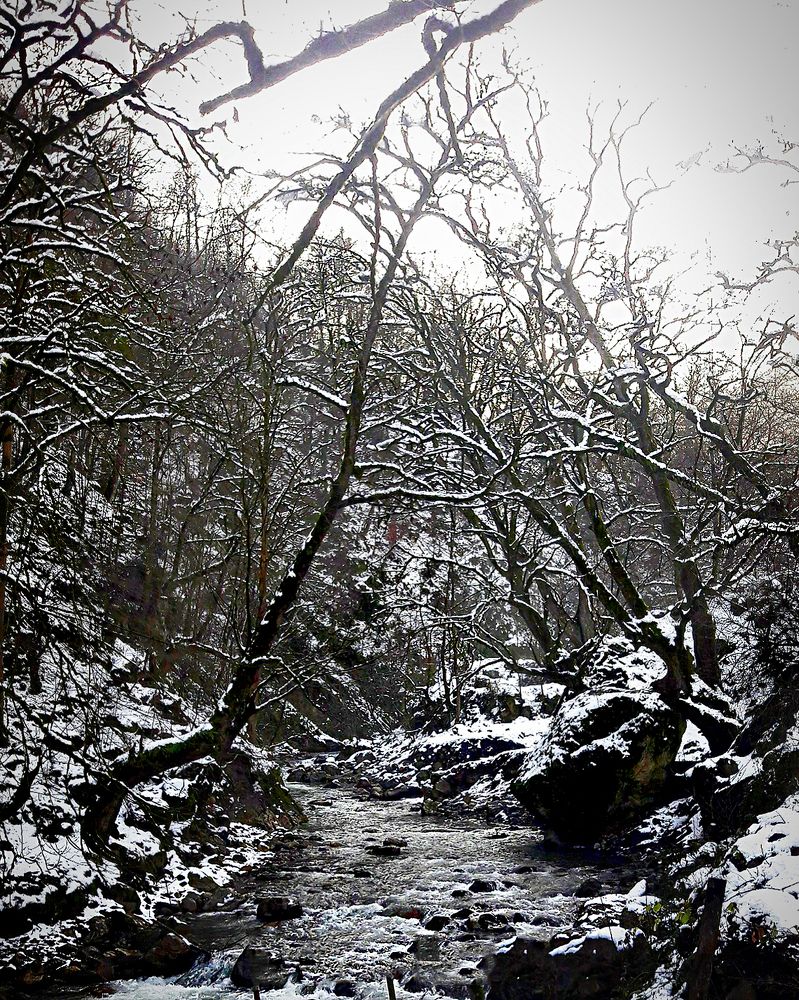 Photography of the river