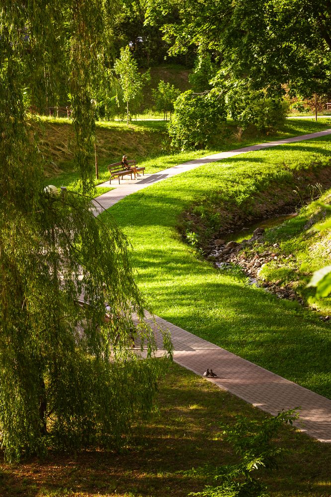 Фотография автора Ирина Яздан Мехр