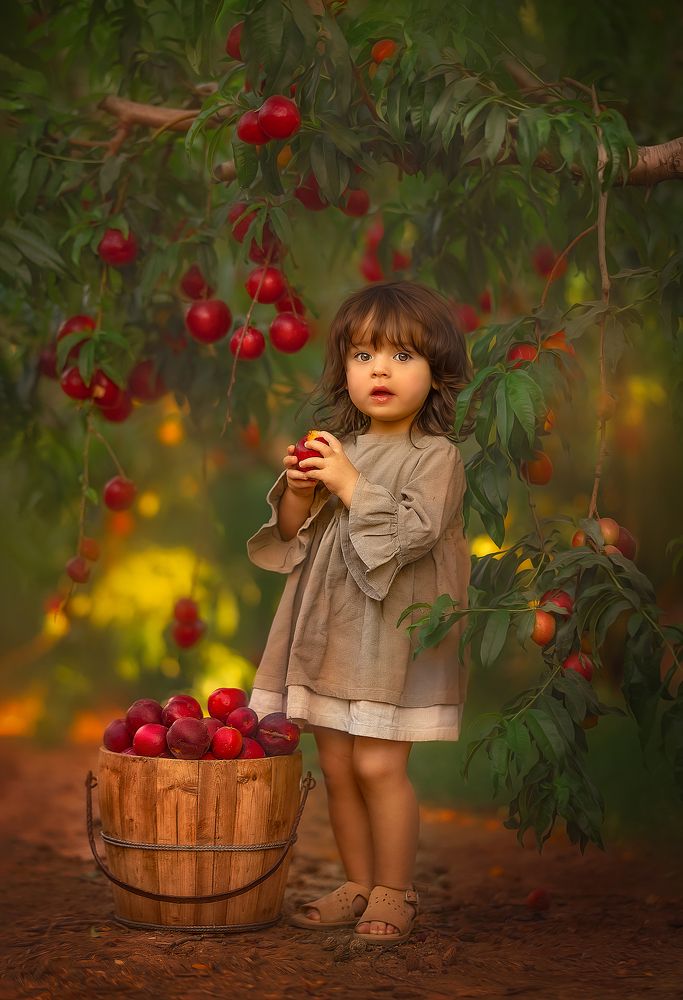 Photograph by yarden kaplan