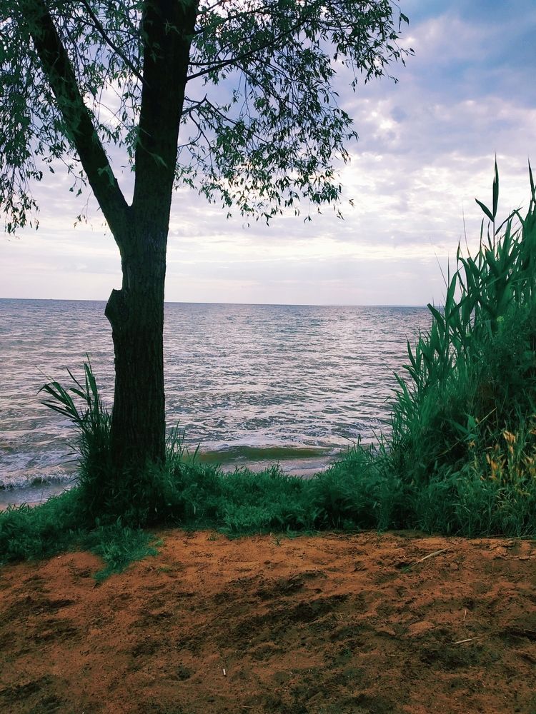 Фотография автора Вікторія Пономаренко