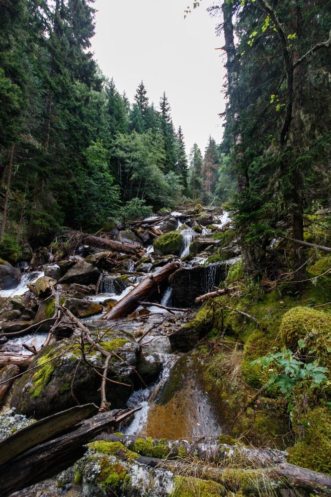 Photograph by Полина Зенькович